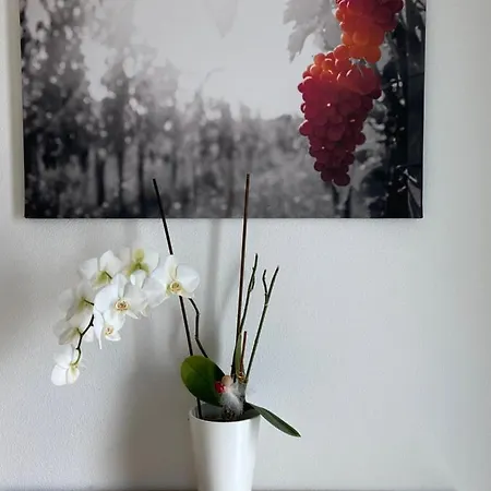 Weinbergblick * Mehring (Rhineland-Palatinate)