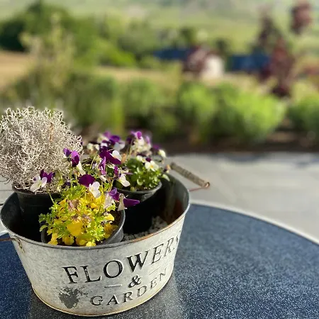 Appartement Weinbergblick Mehring (Rhineland-Palatinate)