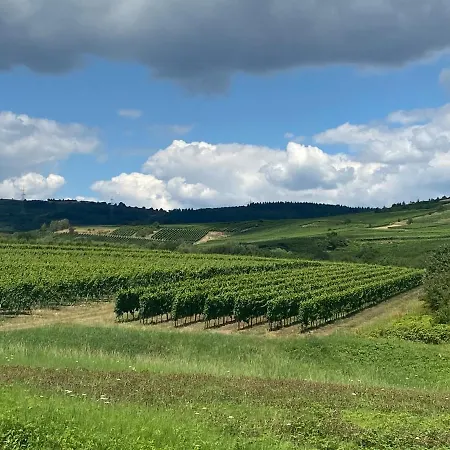 Weinbergblick Appartement