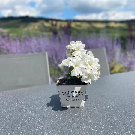 Apartment Weinbergblick