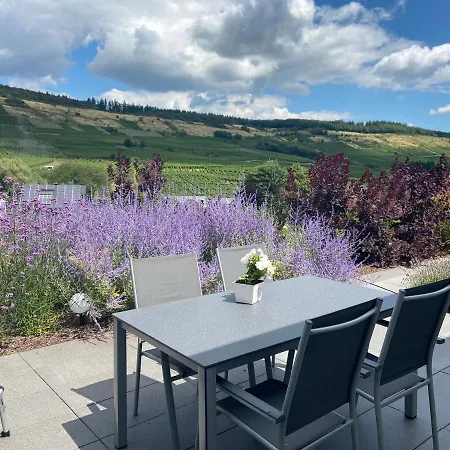 Weinbergblick Appartement Mehring (Rhineland-Palatinate)