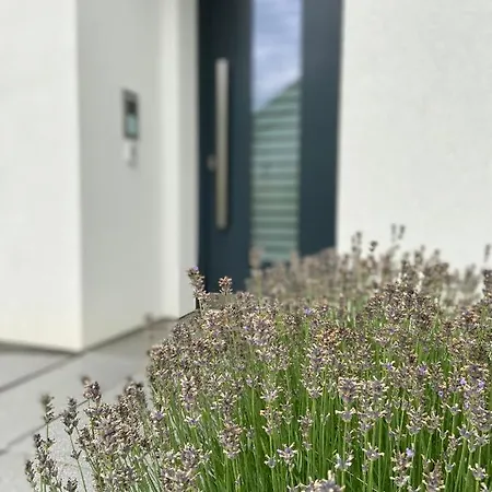 Weinbergblick Apartment Mehring (Rhineland-Palatinate)