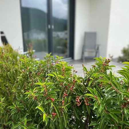 Weinbergblick Apartment