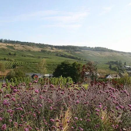 Weinbergblick * Mehring (Rhineland-Palatinate)