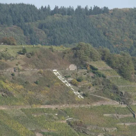 Weinbergblick *