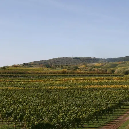 Weinbergblick 梅灵