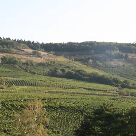 Weinbergblick * Mehring (Rhineland-Palatinate)