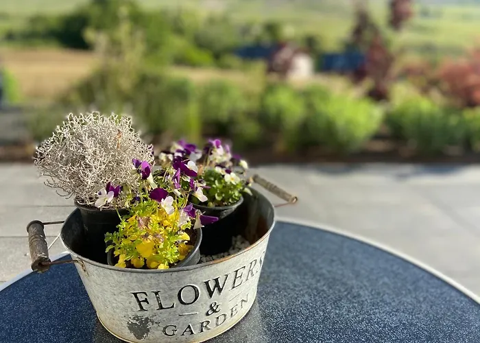 Apartament Weinbergblick Mehring (Rhineland-Palatinate)