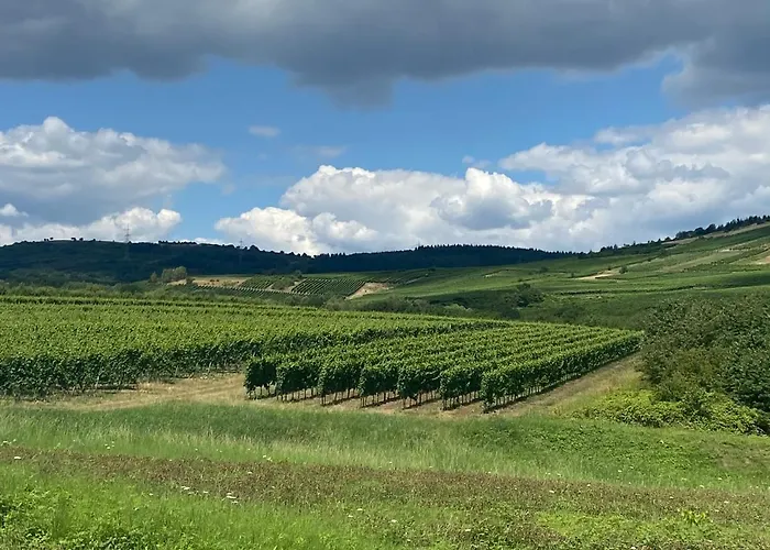 Weinbergblick Apartament