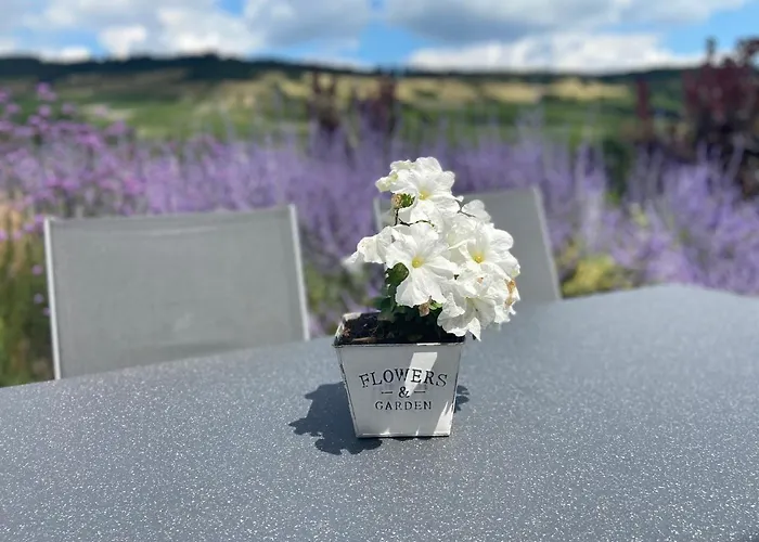 Apartament Weinbergblick