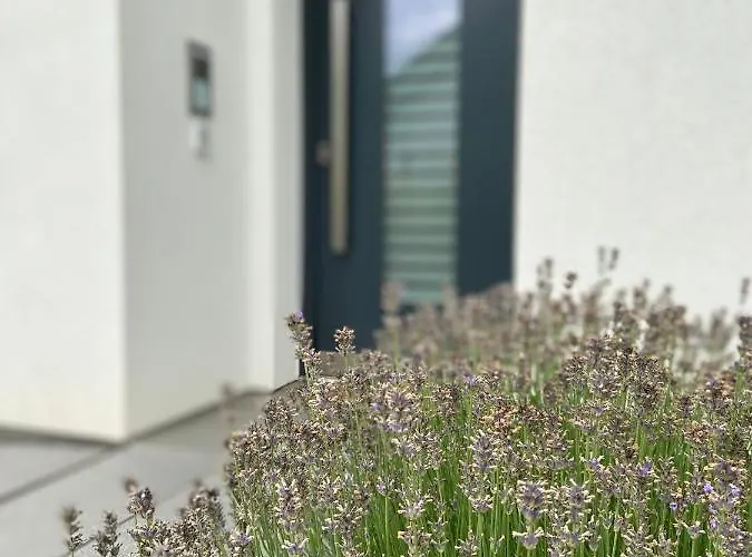 Weinbergblick Apartment Mehring (Rhineland-Palatinate)