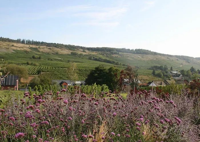 Weinbergblick * Mehring (Rhineland-Palatinate)
