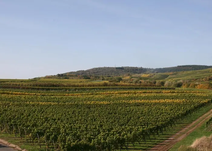 Weinbergblick Mehring (Rhineland-Palatinate)