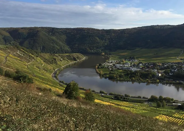 Apartament Weinbergblick *