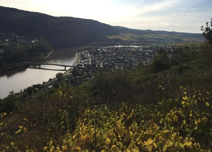 Apartament Weinbergblick Mehring (Rhineland-Palatinate)